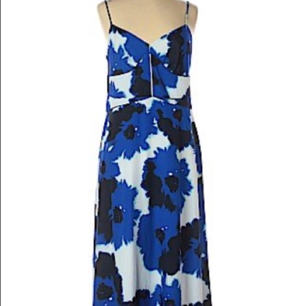 Banana Republic Floral Maxi Dress (00P)